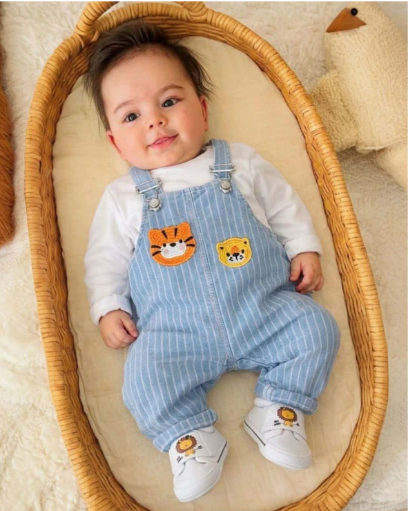 Tiger & Lion Dungaree Set - Blue Stripe