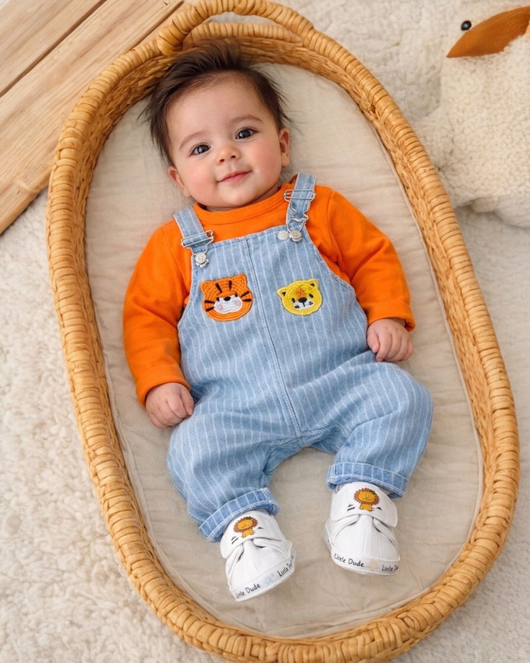 Tiger & Lion Dungaree Set
